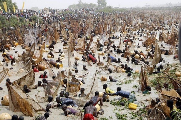 Argungun Festival
