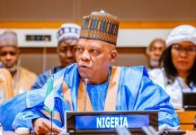Kashim Shettima
