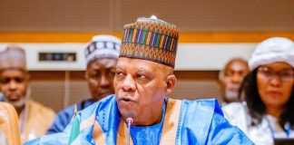 Kashim Shettima